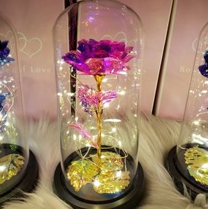 Galaxy Rose in glass dome